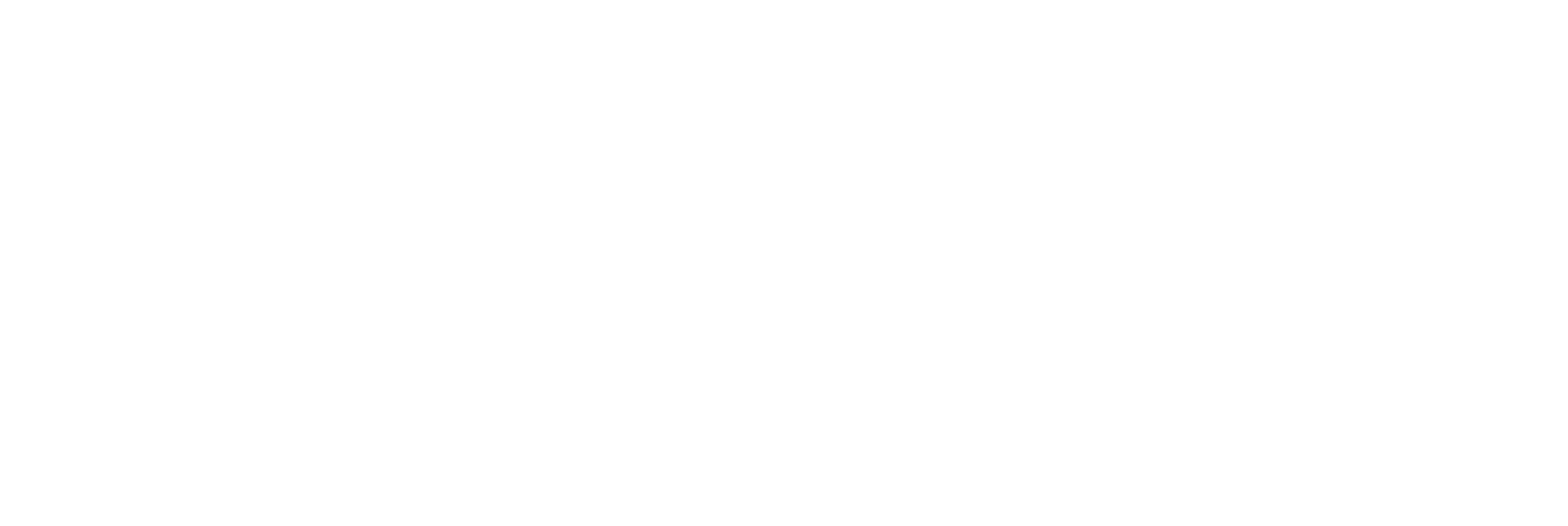 Nusabin logo white version